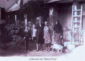 Kopie (2) von h-gy-164_549x768