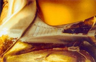 Kopie von 1278_691x960