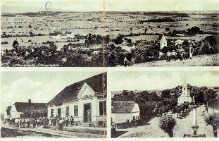 F1466_1280x930, Unterwart