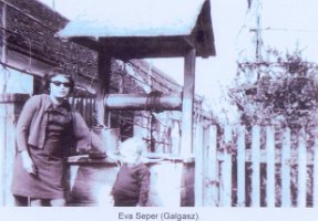 Kopie (2) von h-gy-141_695x960