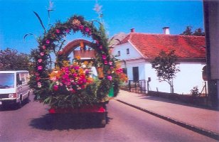 Kopie (2) von 1386_696x960