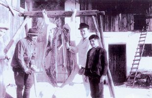 Kopie von h-gy-83_686x960