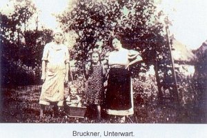 Kopie (4) von h-gy-4_1024x754, Bruckner