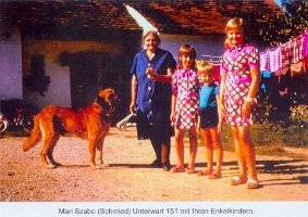 Kopie von h-gy-155_552x768, Haus Nr. 151