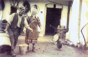 Kopie (2) von h-gy-83_686x960