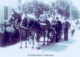 Kopie von h-gy-85_694x960