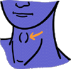 KEHLE.GIF